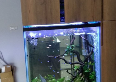 將水族箱的管線設備與收納櫃整合規劃一體呈現。