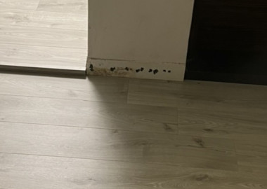直鋪木地板。