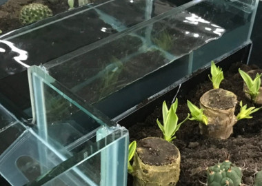 水池造景軟化辦公氣氛。