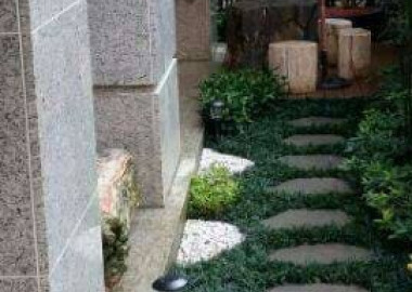 醫美診所建物外部側面庭園造景。