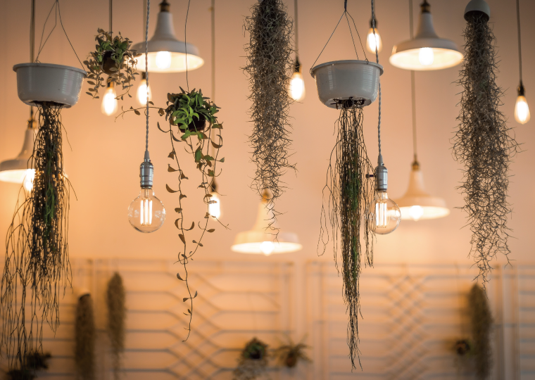 燈具挑選、燈光照明設計重點，裝修前必看懶人包！