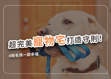 寵物宅裝潢指南：打造毛小孩的夢幻天堂