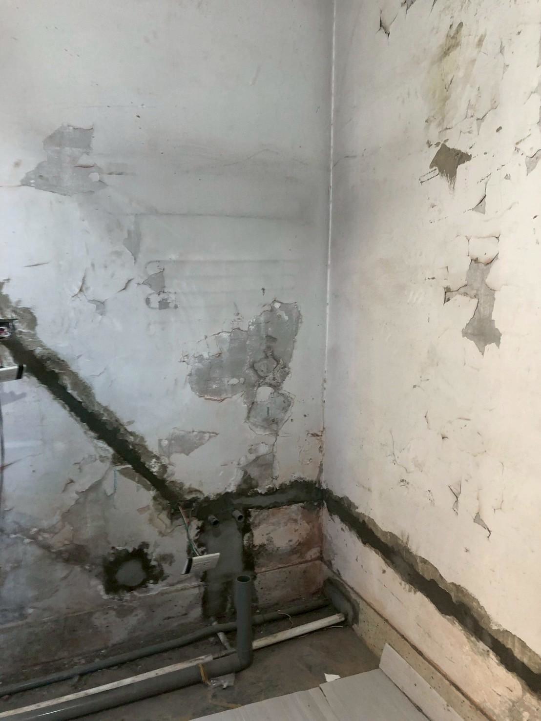 您的公寓有進行哪些室內修繕？